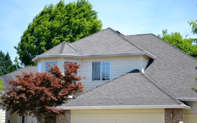 3 Signs You Can Safely Wait on a Roof Replacement
