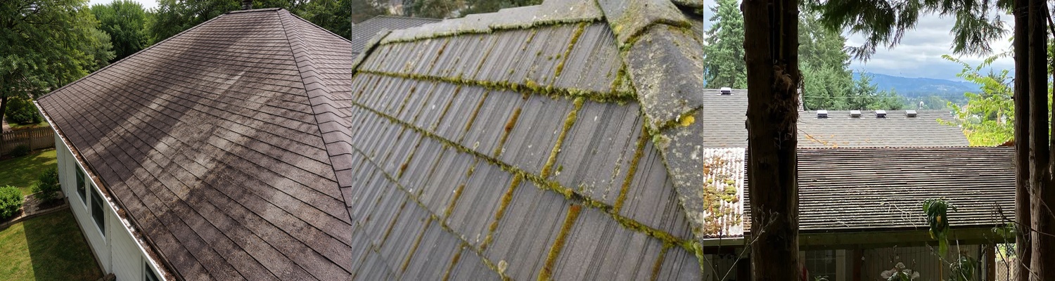 Dirty Roofs