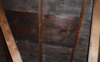 Signs Your Roof May Need to Be Replaced